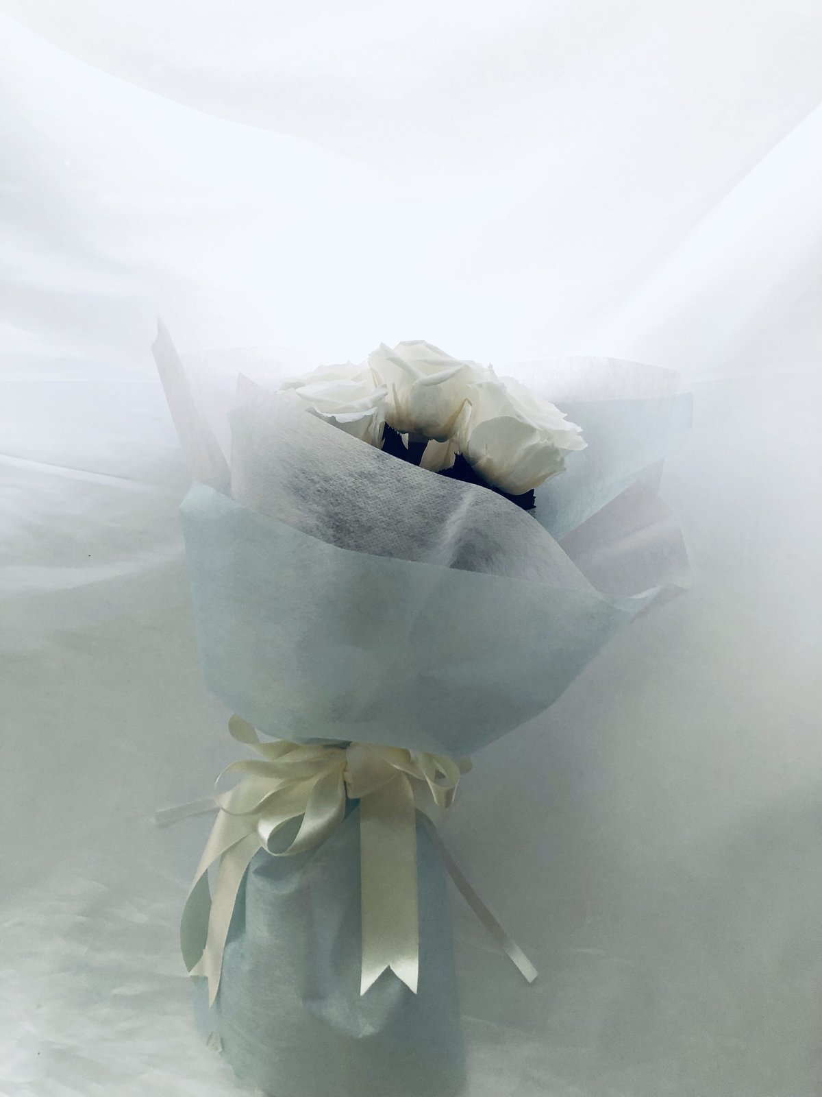 プリザーブドフラワー白い大輪の薔薇5本のふんわり花束ラッピング | 世都華
