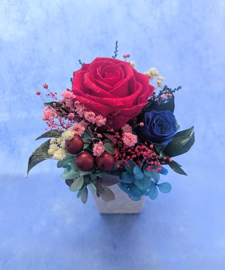 プリザーブドフラワー／大輪の赤い薔薇と青い薔薇の白い花器アレンジ／フラワーケースリボンラッピング付き