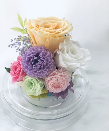 プリザーブドフラワードームの中に咲くクリーム色の薔薇とダリア（ラッピング付き）