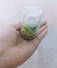 プリザーブドフラワー／　白いミニ薔薇と小花のミニガラスボトルギフト