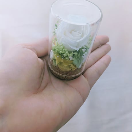 yy26 白薔薇 白バラ ミニバッジ 名古屋市 ケース付き yy26 白薔薇 白バラ ミニバッジ 名古屋市 ケース付き 安心の