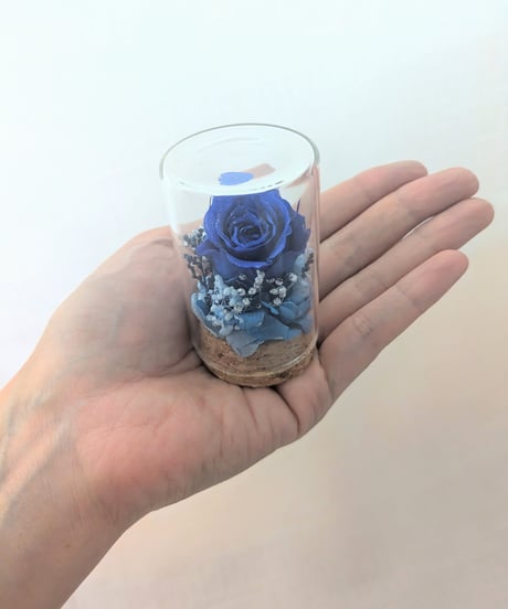 CATEGORY 御供え花ガラスドーム | 世都華