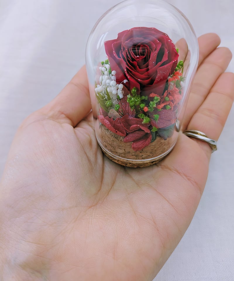 プリザーブドフラワー ガラスドーム プレゼント 赤い薔薇 ボックス入り プリザーブドフラワー ガラスドーム プレゼント 赤い薔薇