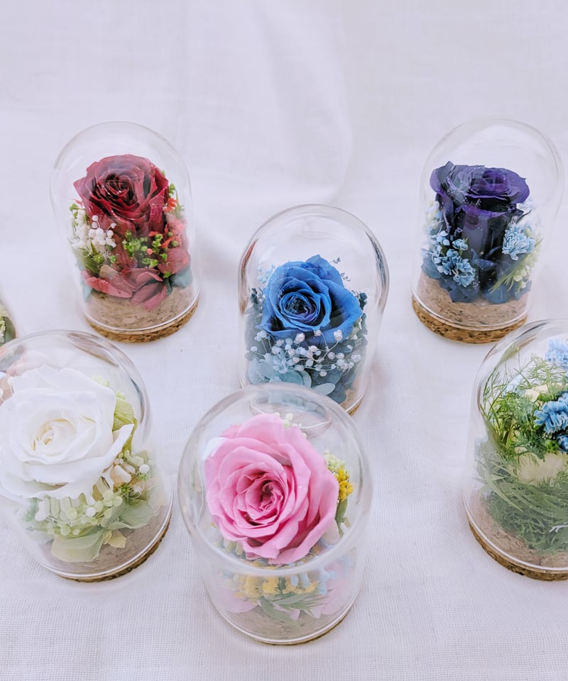 プリザーブドフラワー／ミニガラスドーム 赤いミニ薔薇のミニ