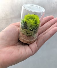プリザーブドフラワー／　緑のミニ薔薇と小花のミニガラスボトルギフト