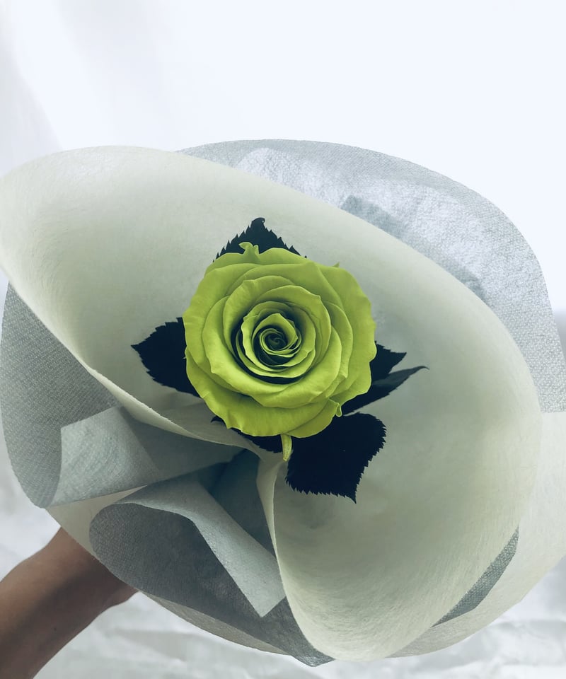 プリザーブドフラワー/緑の薔薇のふんわり一輪ラッピング プリザーブドフラワー/緑の薔薇のふんわり一輪ラッピング