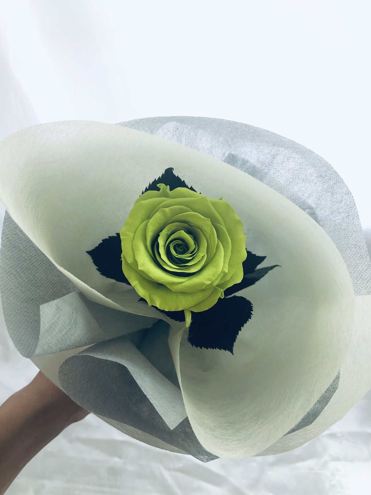 プリザーブドフラワー／緑の薔薇のふんわり一輪ラッピング】 | 世都華