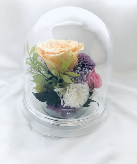 プリザーブドフラワードームの中に咲くクリーム色の薔薇とダリア（ラッピング付き）
