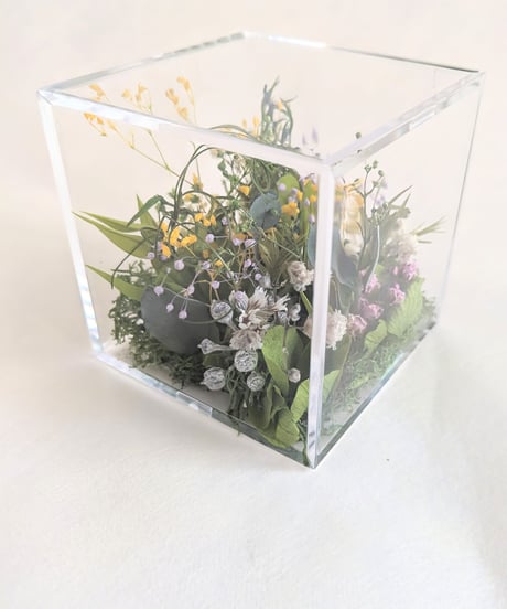 野原の四ツ葉のクローバー探し／クリアボックス／プリザーブドグリーン（グリーンの中に四ツ葉のクローバーをしのばせてます）