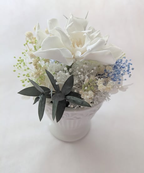 プリザーブドフラワー/クチナシの花の白い輝き/フラワーケースリボンラッピング付き