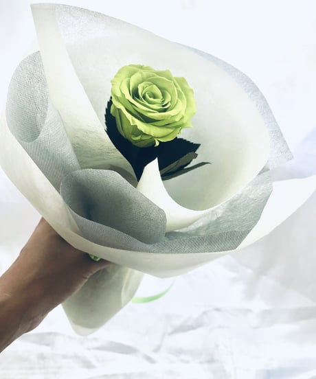 【プリザーブドフラワー／緑の薔薇のふんわり一輪ラッピング】