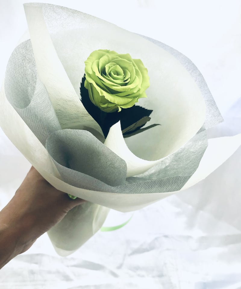 プリザーブドフラワー／緑の薔薇のふんわり一輪ラッピング】 | 世都華