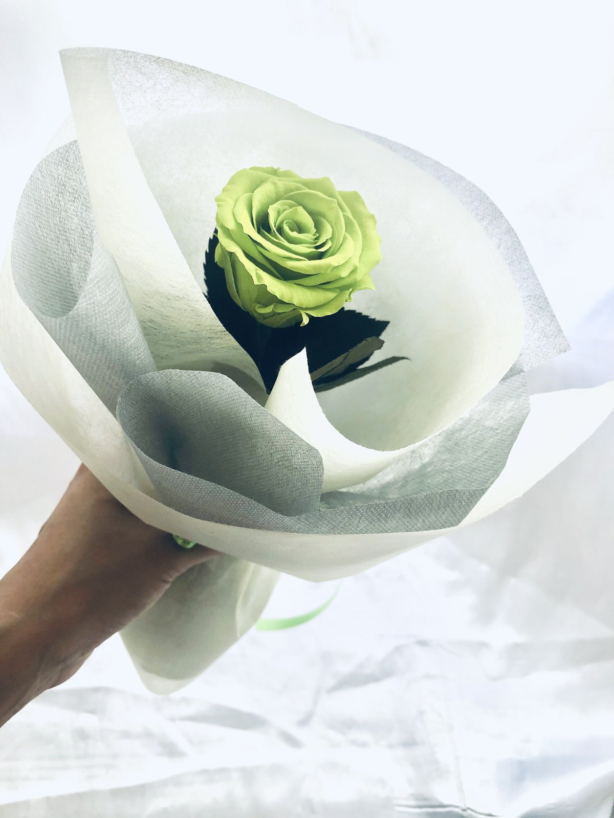 プリザーブドフラワー／緑の薔薇のふんわり一輪ラッピング】 | 世都華