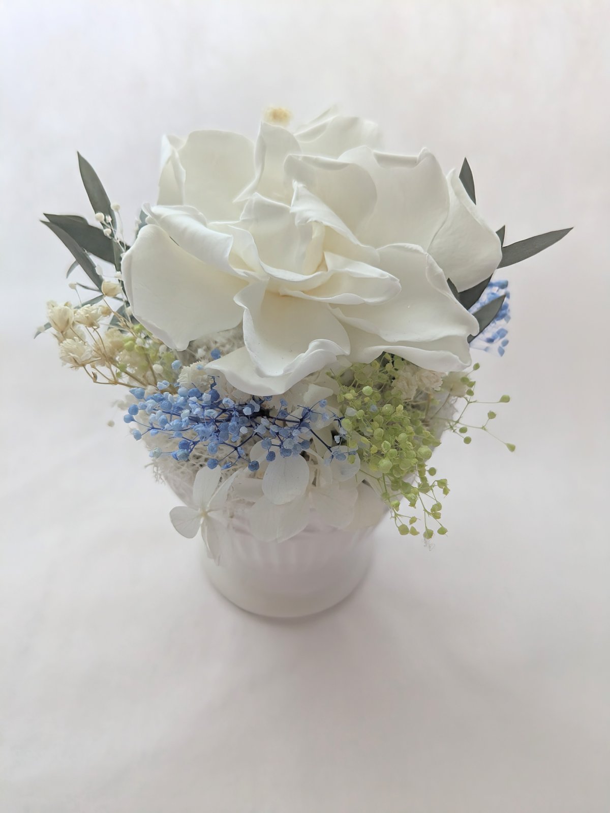 プリザーブドフラワー/クチナシの花の白い輝き/フラワーケースリボン