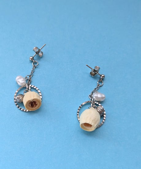 植物素材アクセサリー／ユーカリの木の実のピアス金属アレルギー対応（イヤリングに変更可能）（両耳用）