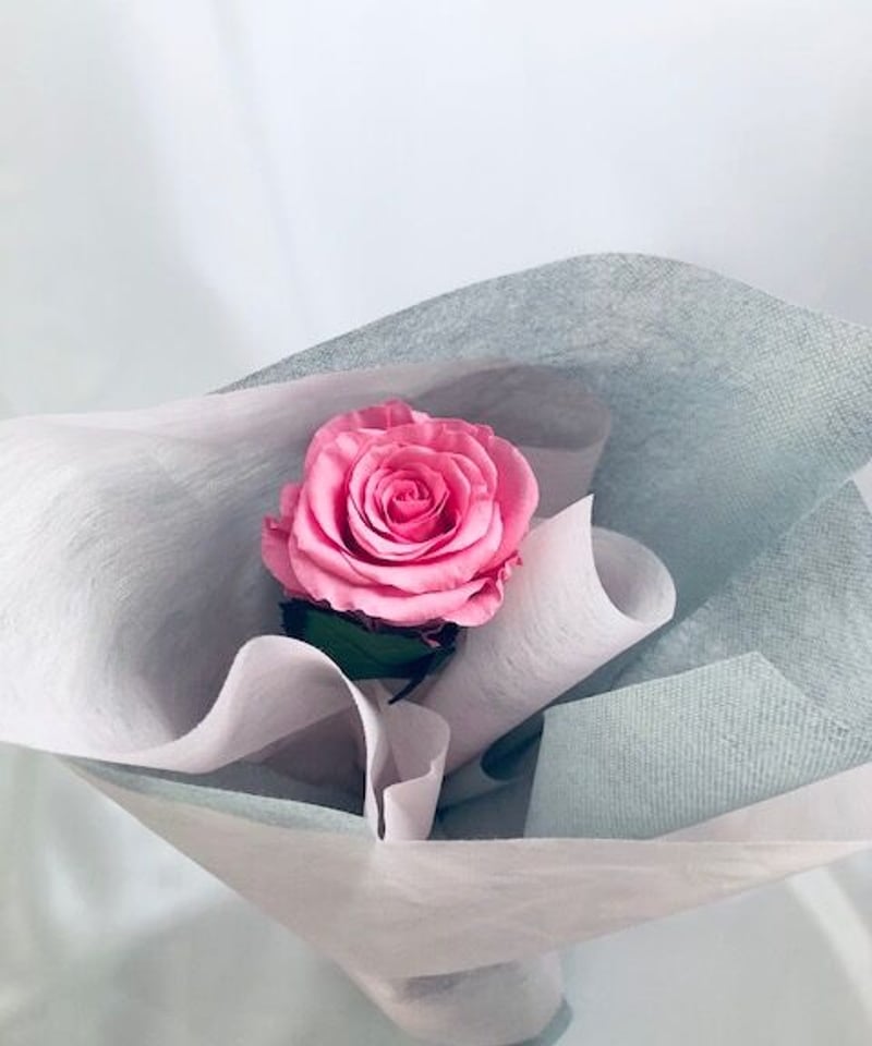 プリザーブドフラワー／ピンクの薔薇のふんわり一輪ラッピング