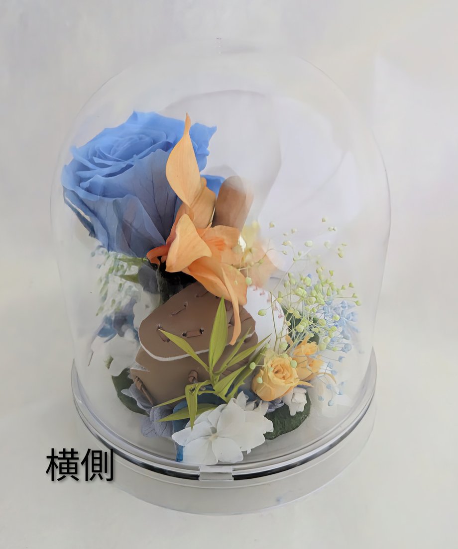 6a3cf7fb7ab8802e9976ce30