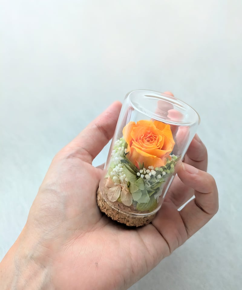 オレンジのプリザーブドローズ ガラスドーム入り 楽天市場】即日出荷「ガラスドームL」プリザーブドフラワー ガラス