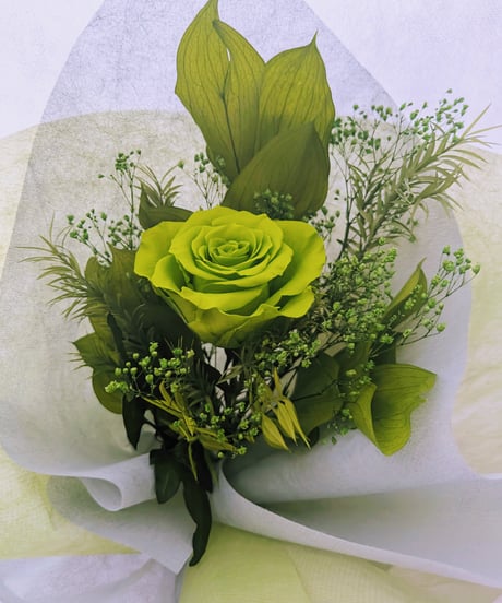 プリザーブドフラワー大輪の緑の薔薇とグリーンの緑づくしの花束（花束ラッピング）