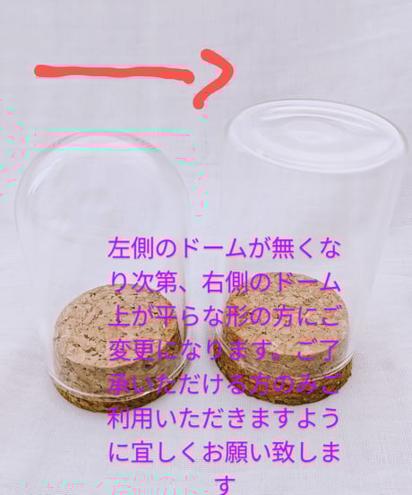 プリザーブドフラワー／ミニガラスドーム　青いミニ薔薇のミニギフト