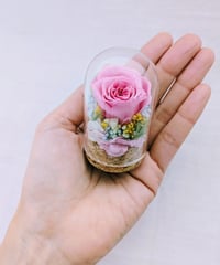 プリザーブドフラワー／ミニガラスドーム　プリンセスピンクローズのミニギフト
