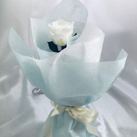 白薔薇 | STORES