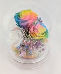 吉村様専用ご購入ページ／レインボーローズの祝福☆クリアドームアレンジ