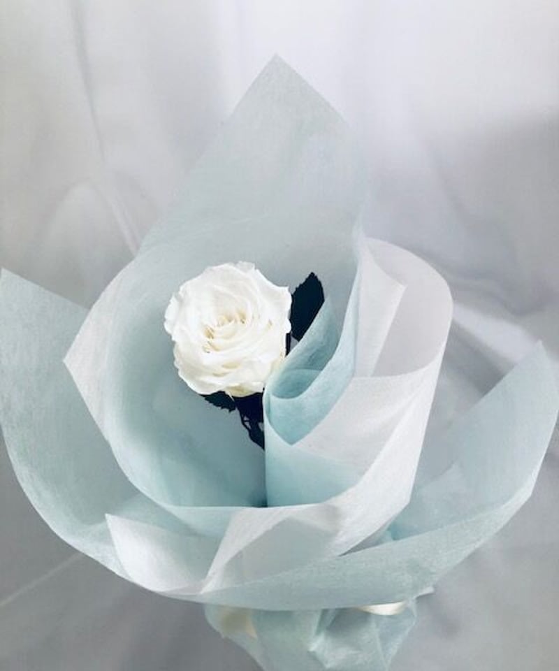 プリザーブドフラワー／白薔薇のふんわり一輪ラッピング】 | 世都華