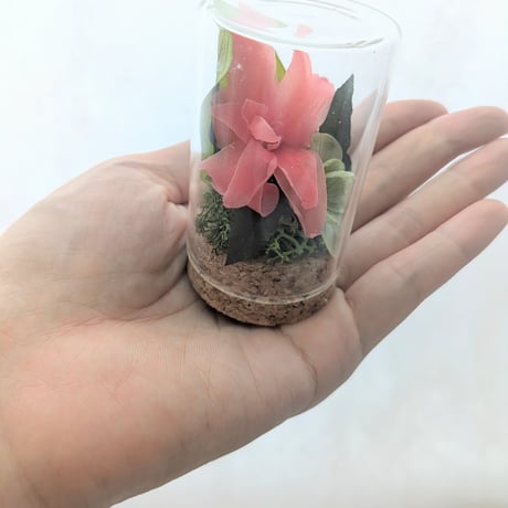 yy26 白薔薇 白バラ ミニバッジ 名古屋市 ケース付き 安心のクール便出荷】バラ 花束 ホワイトローズ 国産 白バラ 50