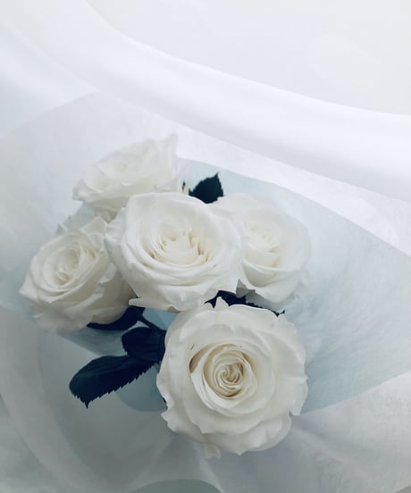 プリザーブドフラワー白い大輪の薔薇5本のふんわり花束ラッピング