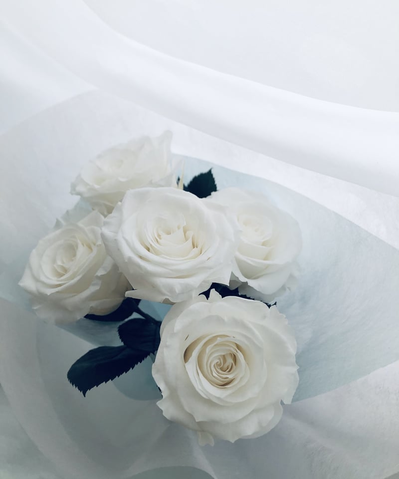 プリザーブドフラワー白い大輪の薔薇5本のふんわり花束ラッピング | 世都華