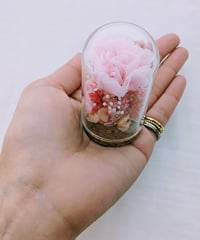 カーネーションのプリザーブドフラワー／ミニガラスドーム桜色