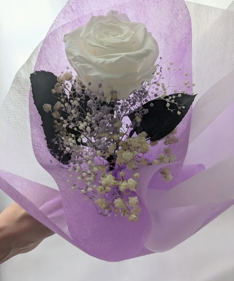 【プリザーブドフラワー／大輪の白薔薇と白とパープルかすみ草のふんわり一輪ラッピング】