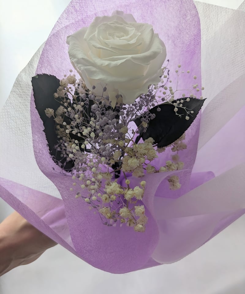 プリザーブドフラワー／大輪の白薔薇と白とパープルかすみ草のふんわり
