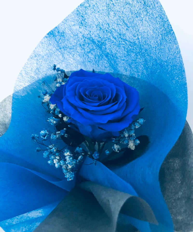 プリザーブドフラワー／青薔薇とブルーカスミ草の一輪ラッピング