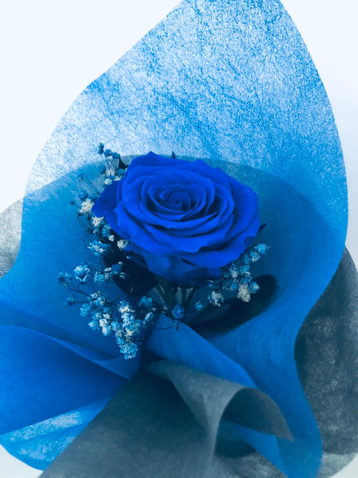 青薔薇 ブリザードフラワー 小物 直径約18cm 青薔薇 ブリザードフラワー 小物 直径約18cm DR-18 プリザーブド