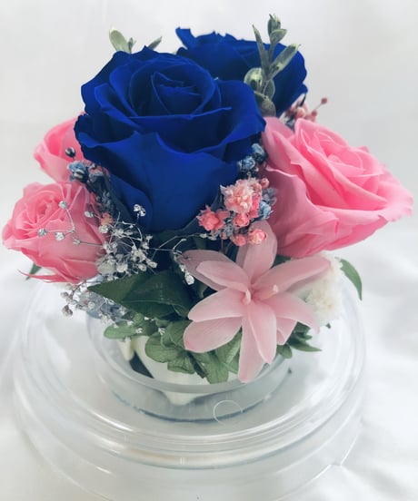 プリザーブドフラワー／ドームの中に咲く青とピンクの薔薇と小花のフラワードーム