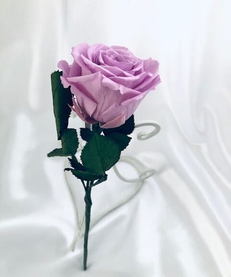 【プリザーブドフラワー／紫の薔薇のふんわり一輪ラッピング】