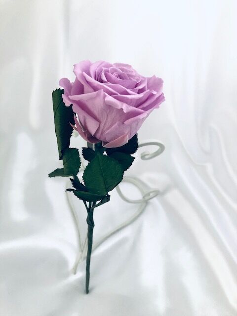 プリザーブドフラワー／紫の薔薇のふんわり一輪ラッピング】 | 世都華