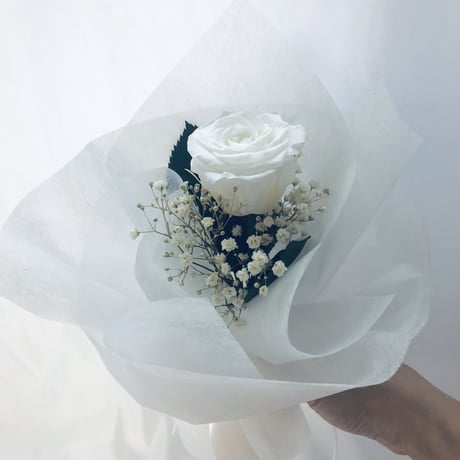 白薔薇 | STORES 白薔薇 | STORES