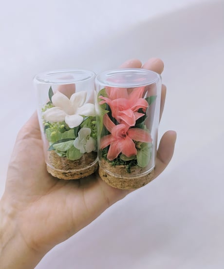 小さなお花の定期便／プリザーブドフラワーガラスボトルギフト便12種類