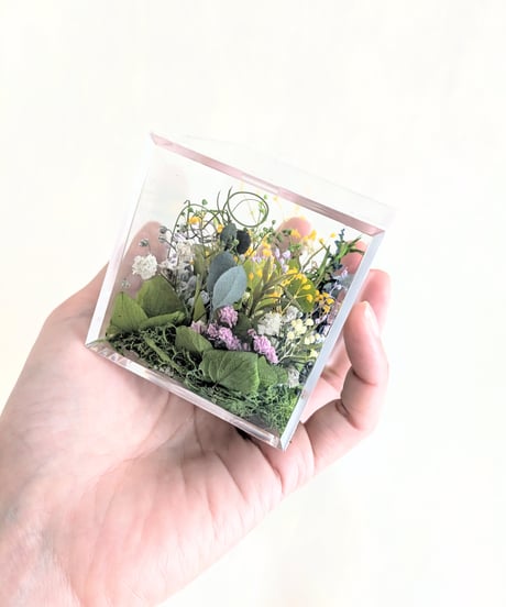 野原の四ツ葉のクローバー探し／クリアボックス／プリザーブドグリーン（グリーンの中に四ツ葉のクローバーをしのばせてます）