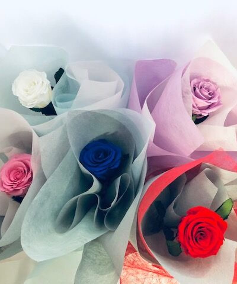 ディップフラワー　ピンクのバラ ディップフラワー ピンクのバラ ディップフラワー ピンクのバラ