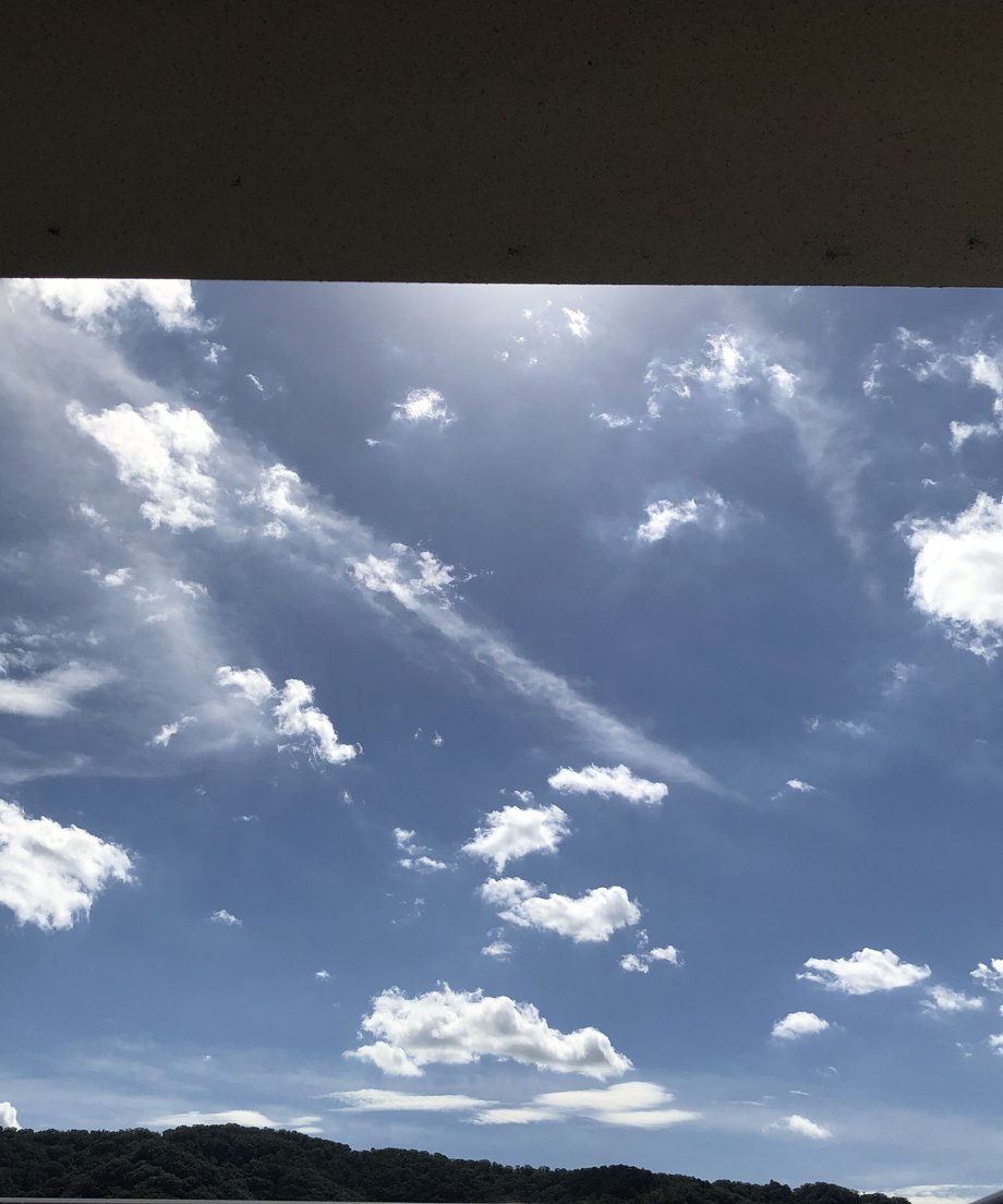 64f933f44c3d4e1b862bf7f0