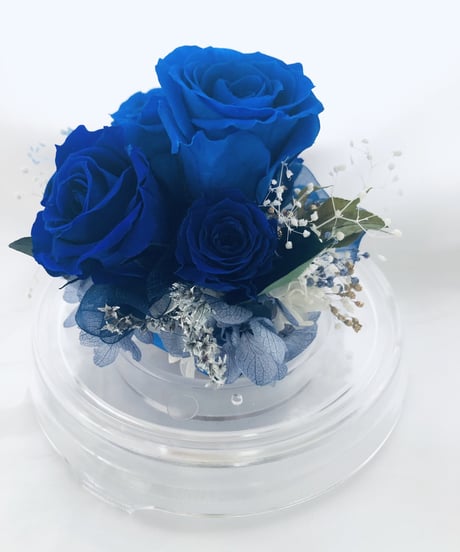 プリザーブドフラワー/ドームの中で咲く青い薔薇/ラッピング付き