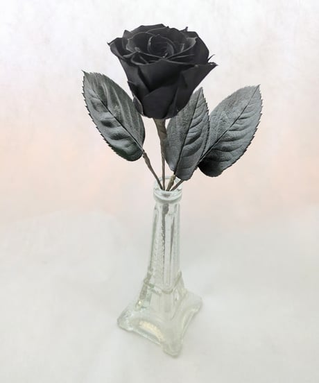 【プリザーブドフラワー／黒い薔薇の一輪花束ラッピング】  黒薔薇の魔法発動中