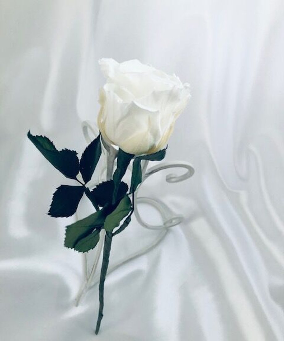 6067c900d5e9c9186d8c4b6c