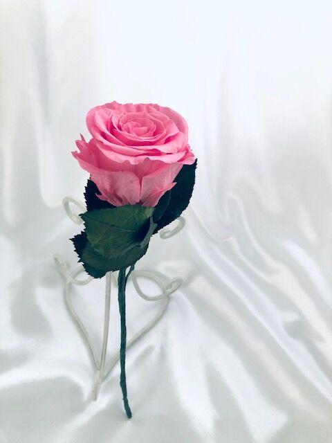 プリザーブドフラワー／ピンクの薔薇のふんわり一輪ラッピング