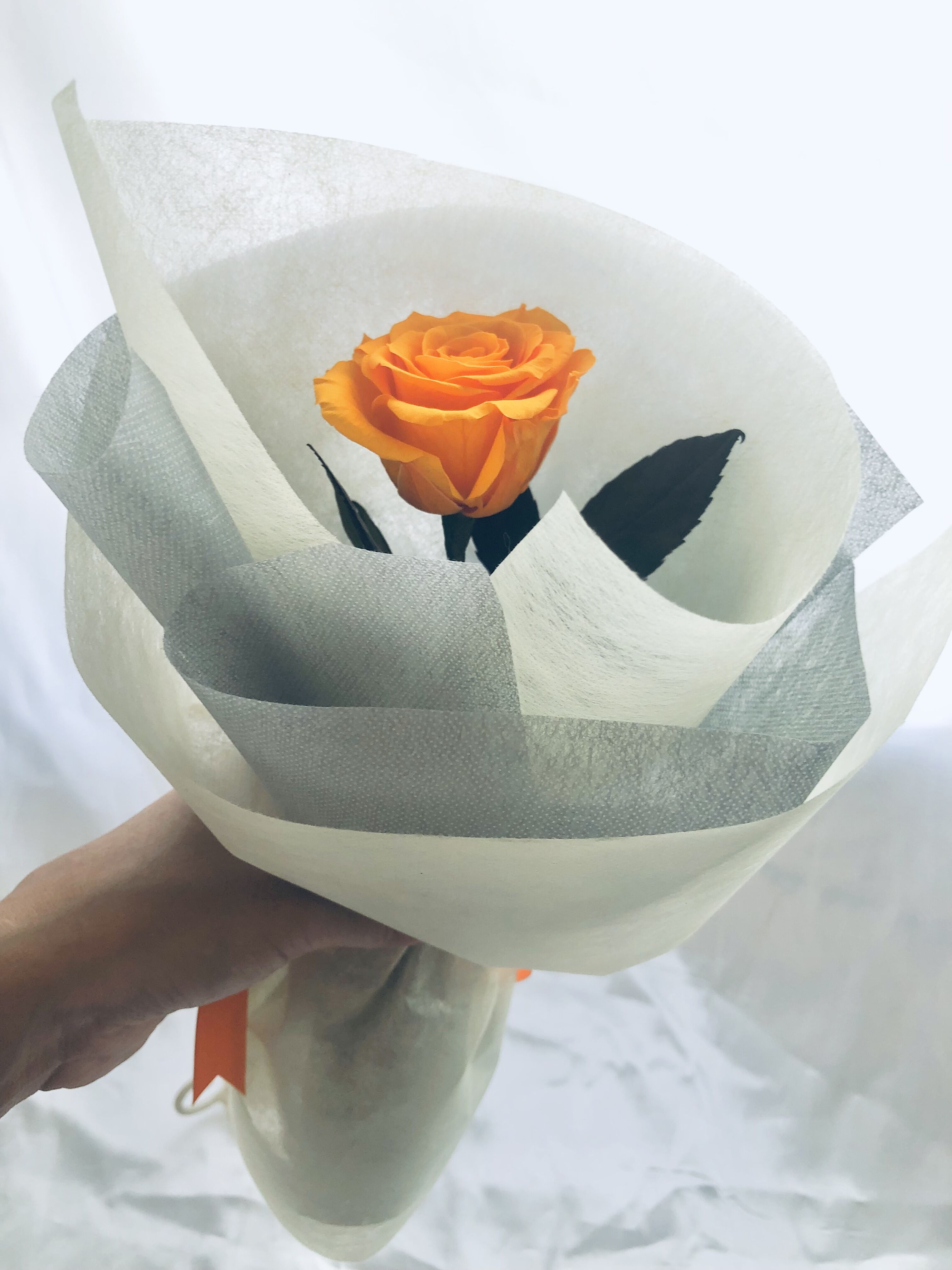 プリザーブドフラワー／オレンジ色の薔薇のふんわり一輪ラッピング