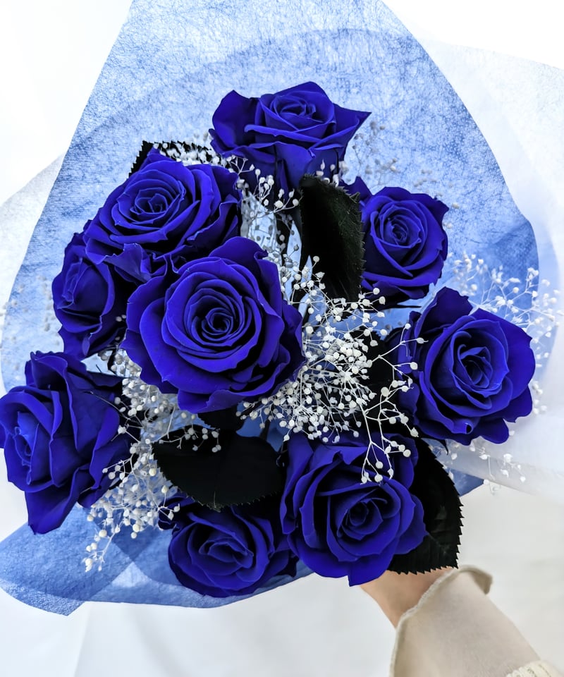 青い薔薇 様@AF & KC & IW 100619kk青いバラ | ブリザーブド